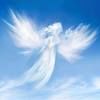 mary04797